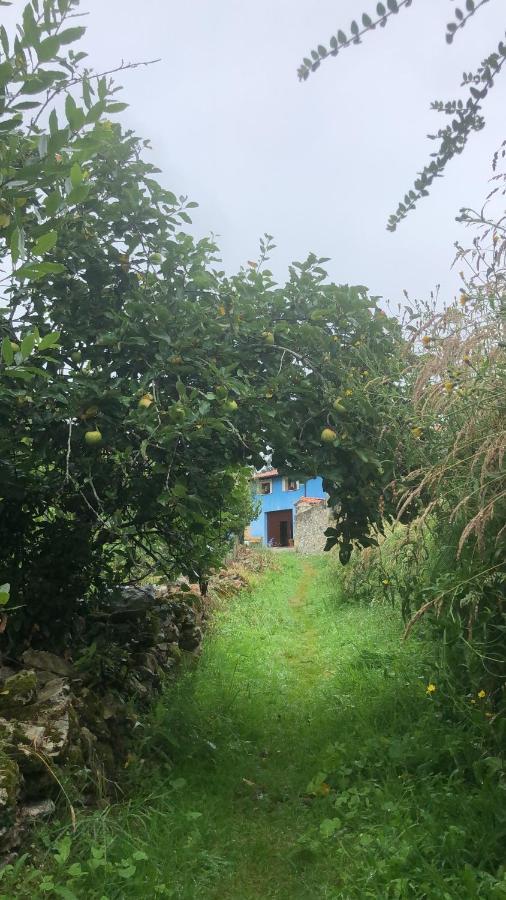 דירות El Barcenal La Galayca מראה חיצוני תמונה