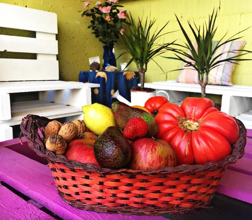דירות El Barcenal La Galayca מראה חיצוני תמונה